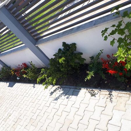 Apartament Saguna Sînnicolau Mare Exterior foto